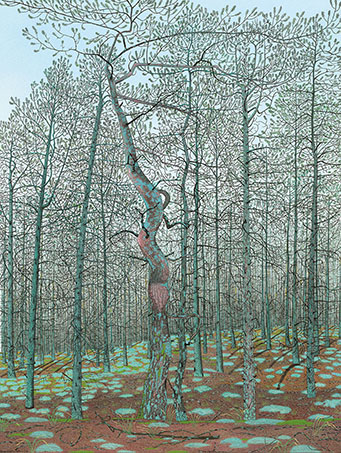 Nature and Nurture II