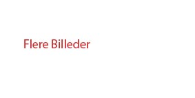 Flere Billeder