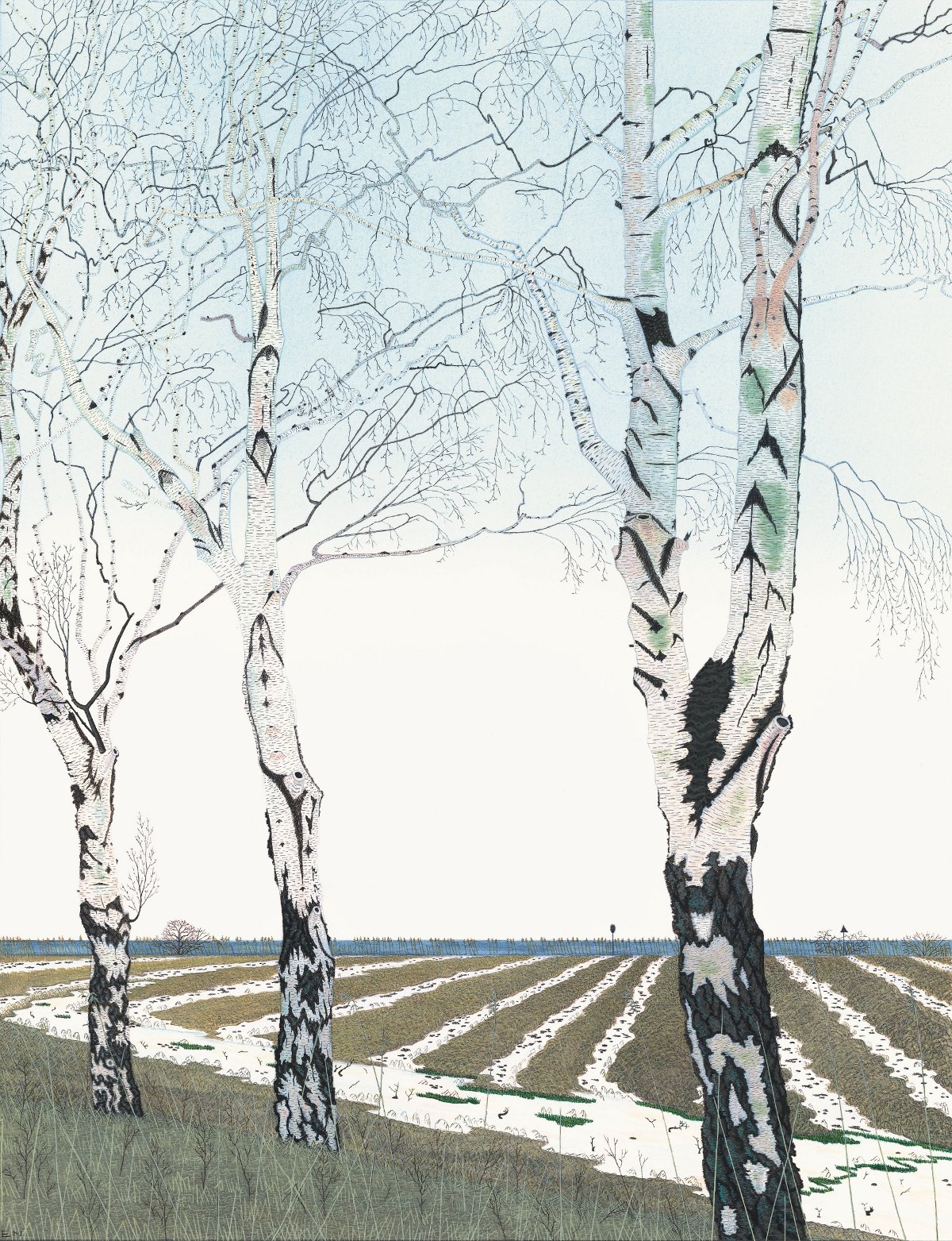 Winter birch trees